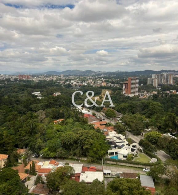 PROYECTO MILENIA APARTAMENTOS ZONA 10 — Casta & Asociados — foto 4 de 8