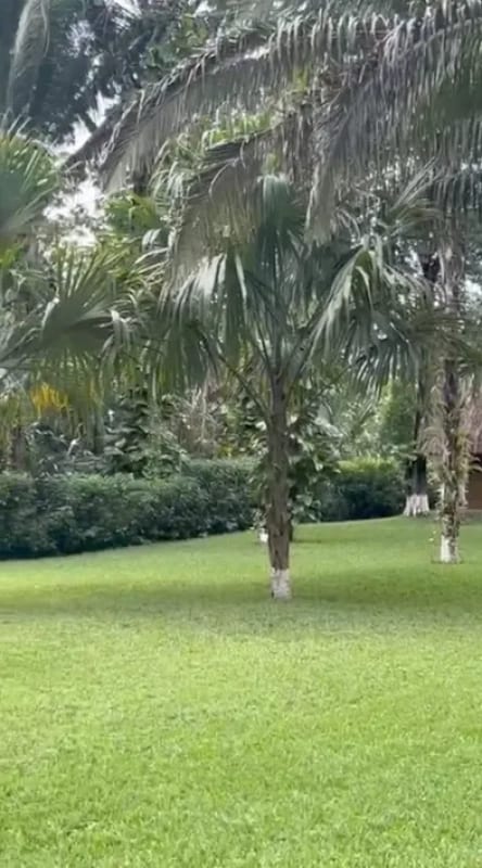 CASA EN VENTA RÍO DULCE — foto 3 de 8