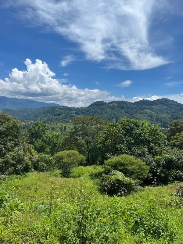 TERRENO EN VENTA EN EL PULTE — foto 1 de 2
