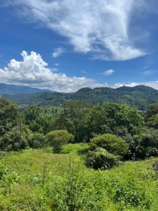 TERRENO EN VENTA EN EL PULTE — miniatura 1 de 2