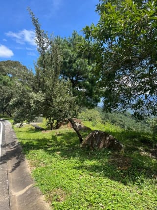 TERRENO EN VENTA EN EL PULTE — miniatura 2 de 2