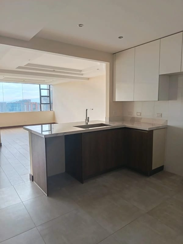 PROYECTO APARTAMENTOS EN VENTA ZONA 10 — foto 6 de 16