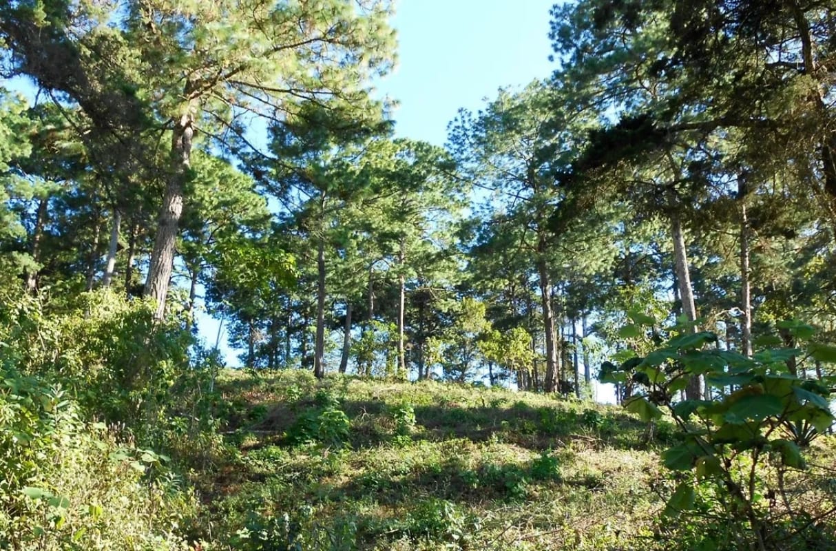 TERRENO EN VENTA EN ZONA 16 — foto 1 de 5