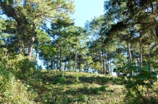 TERRENO EN VENTA EN ZONA 16 — miniatura 1 de 5